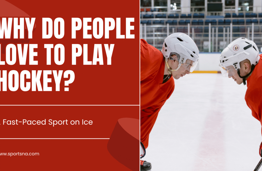 An image of 5 Interesting Reasons Why People Love to Play Hockey